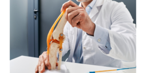 大腿四頭筋腱炎の原因